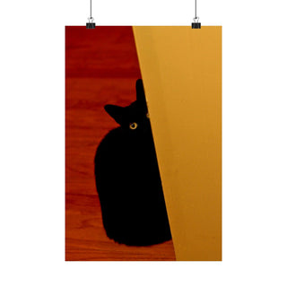 Peekaboo Black Cat with Yellow Eyes - Poster Print